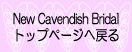 New Cavendish Bridal֖߂